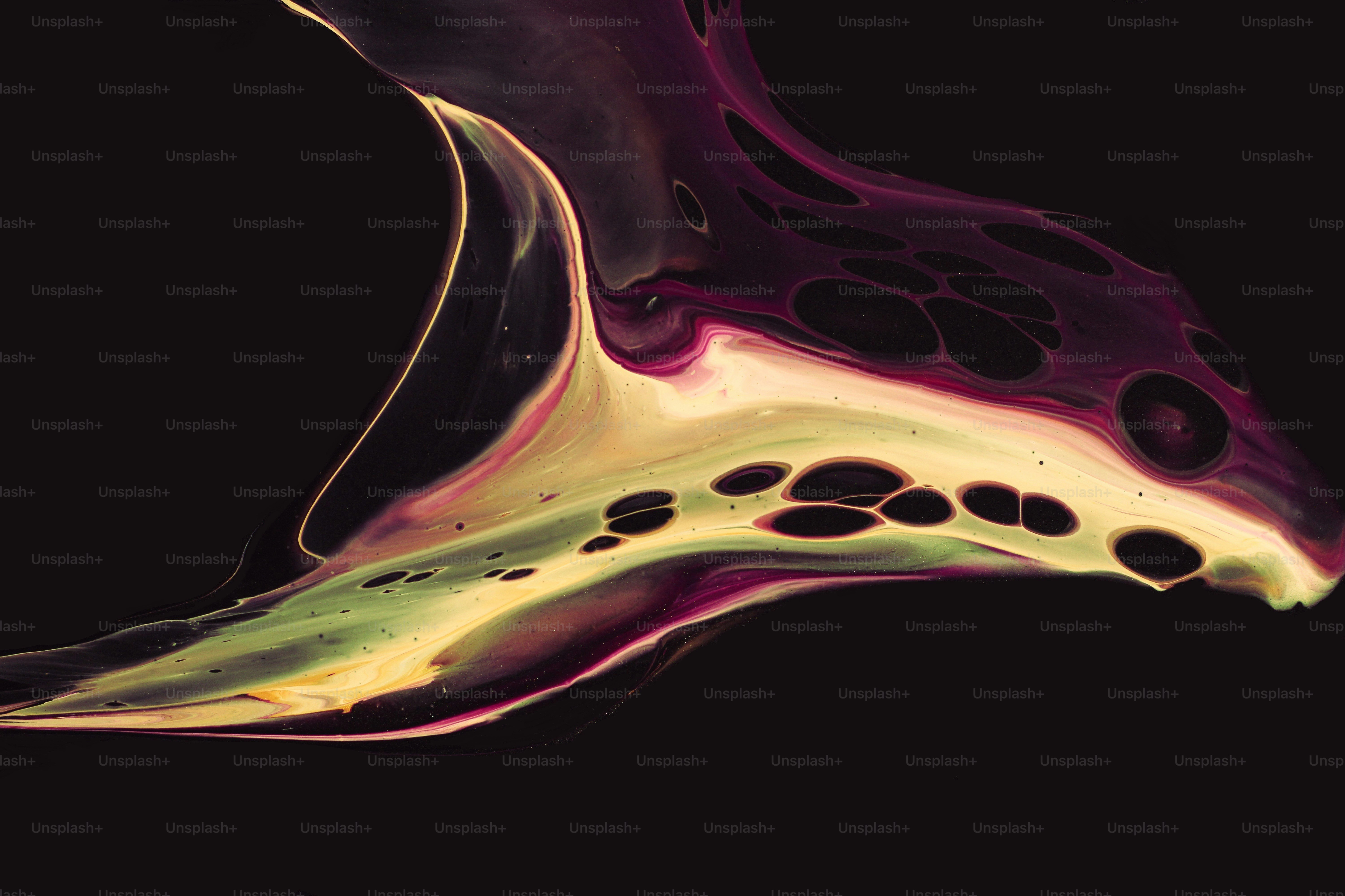 a close up of a flower on a black background