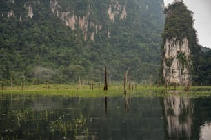 a large body of water surrounded by mountains