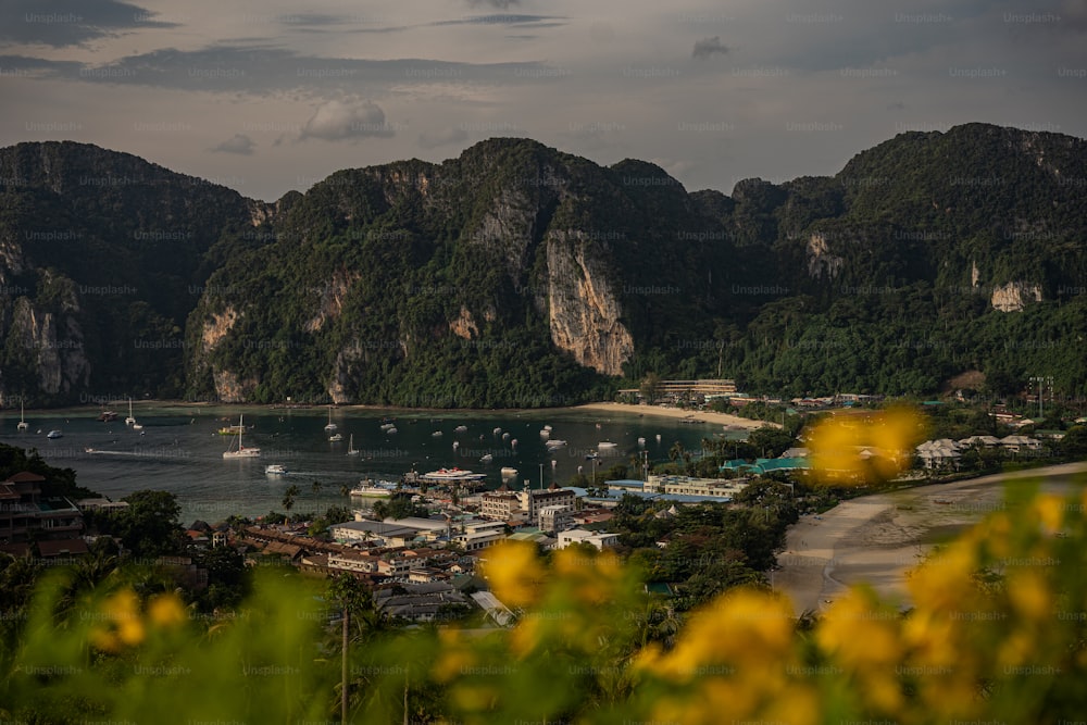 uma vista de uma baía com barcos e montanhas ao fundo