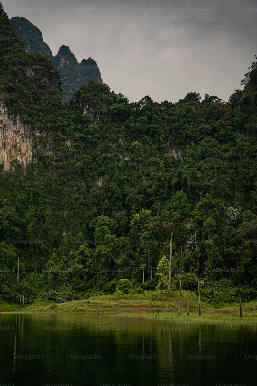 a body of water surrounded by mountains and trees