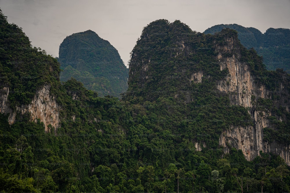 Un groupe de montagnes avec des arbres au premier plan