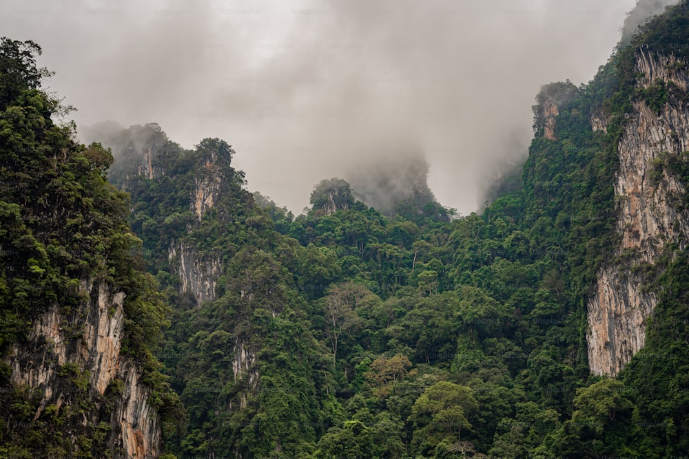 a group of mountains covered in trees and clouds