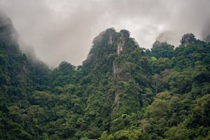 a group of mountains covered in trees under a cloudy sky