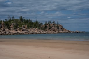 a sandy beach next to a forest covered island