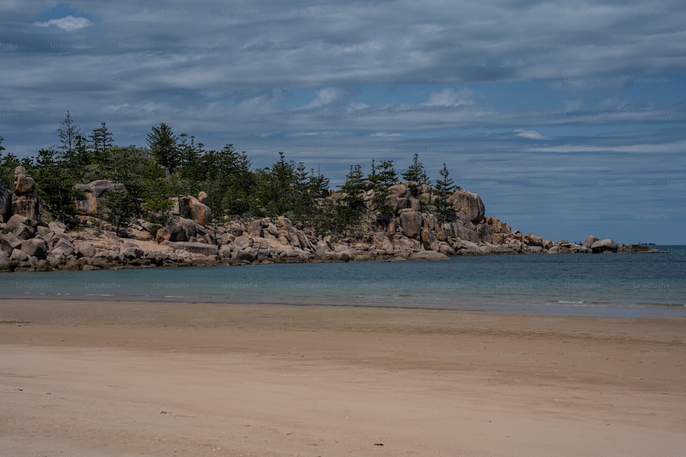 a sandy beach next to a forest covered island