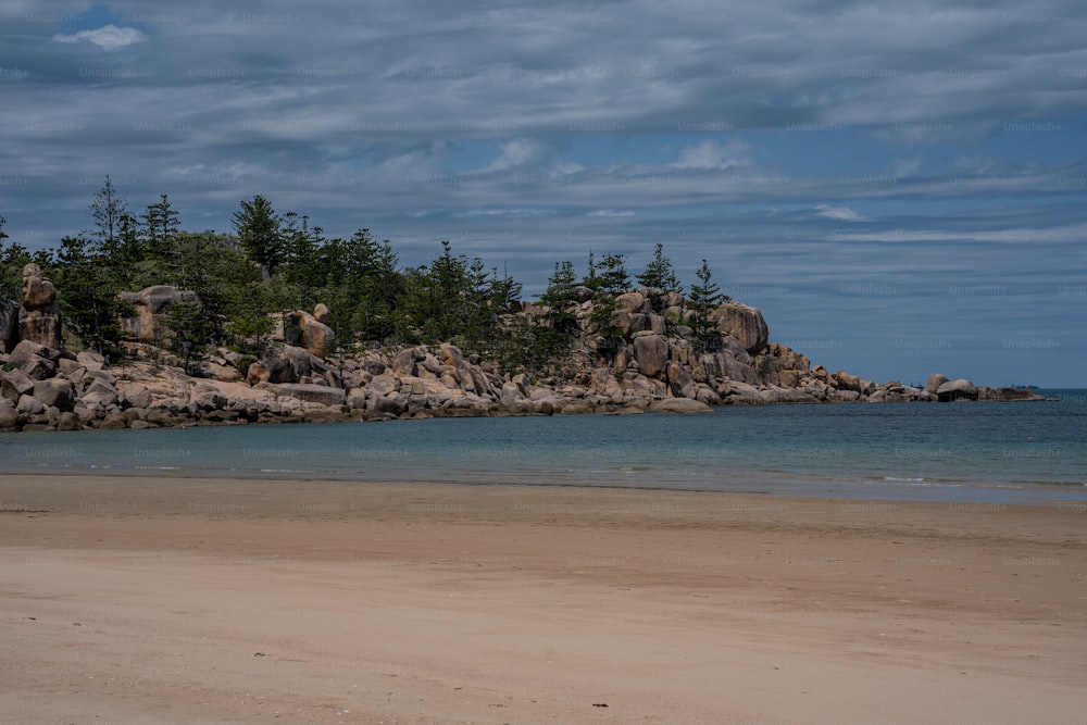 Una playa de arena junto a una isla cubierta de bosques