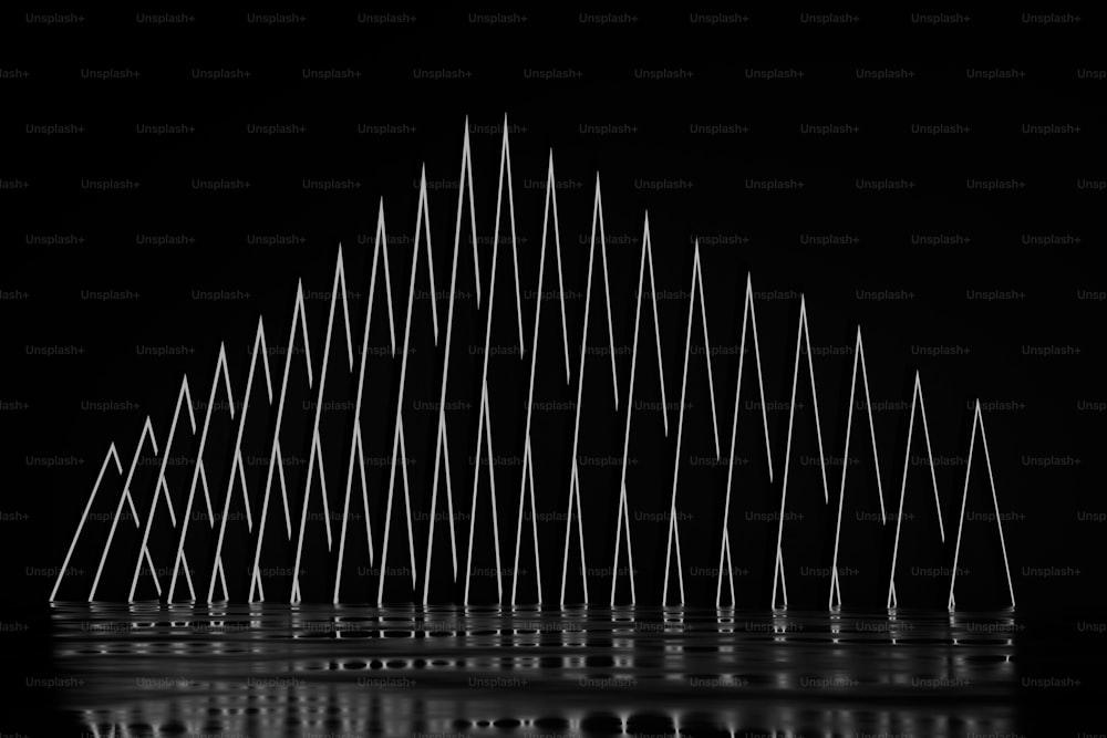 Una foto en blanco y negro de una línea de palos