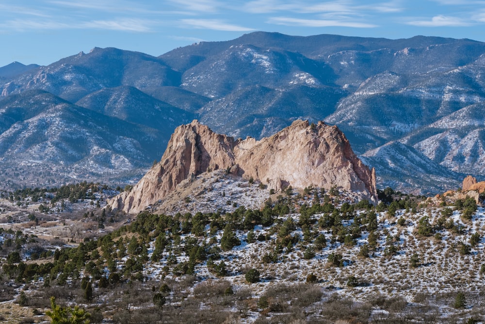 Las montañas están cubiertas de nieve y árboles