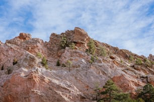 Ein felsiger Berg mit Bäumen, die darauf wachsen