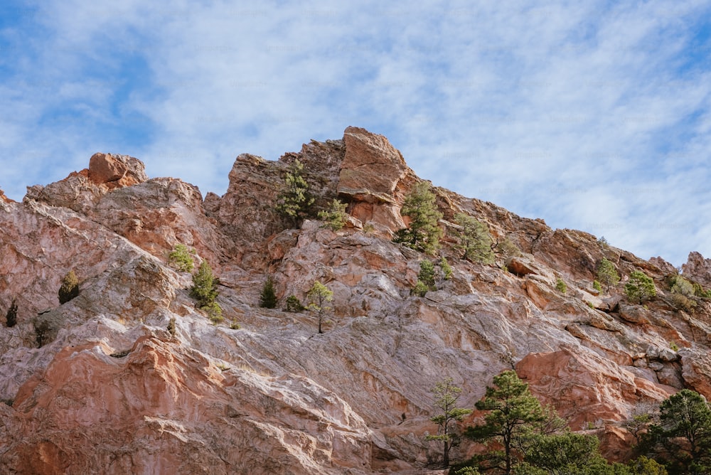 a rocky mountain with trees growing on it