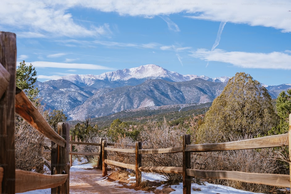 Rocky mountain wilderness with pine timber and open alpine meadow, elk hunting country