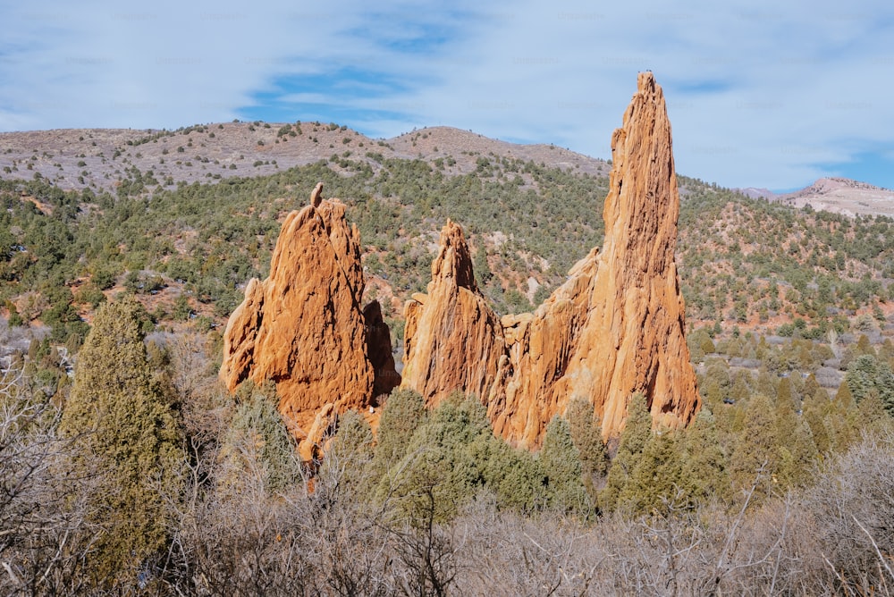 Un gruppo di grandi rocce nel mezzo di una foresta