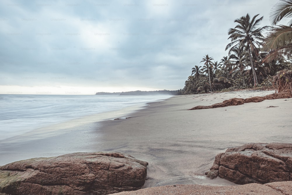 una playa de arena con palmeras y un cuerpo de agua