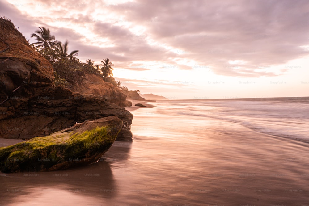 a rock on the beach with a mossy log on it