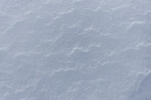 a close up of a snow covered ground