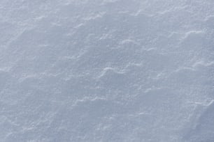 Un primer plano de un suelo cubierto de nieve