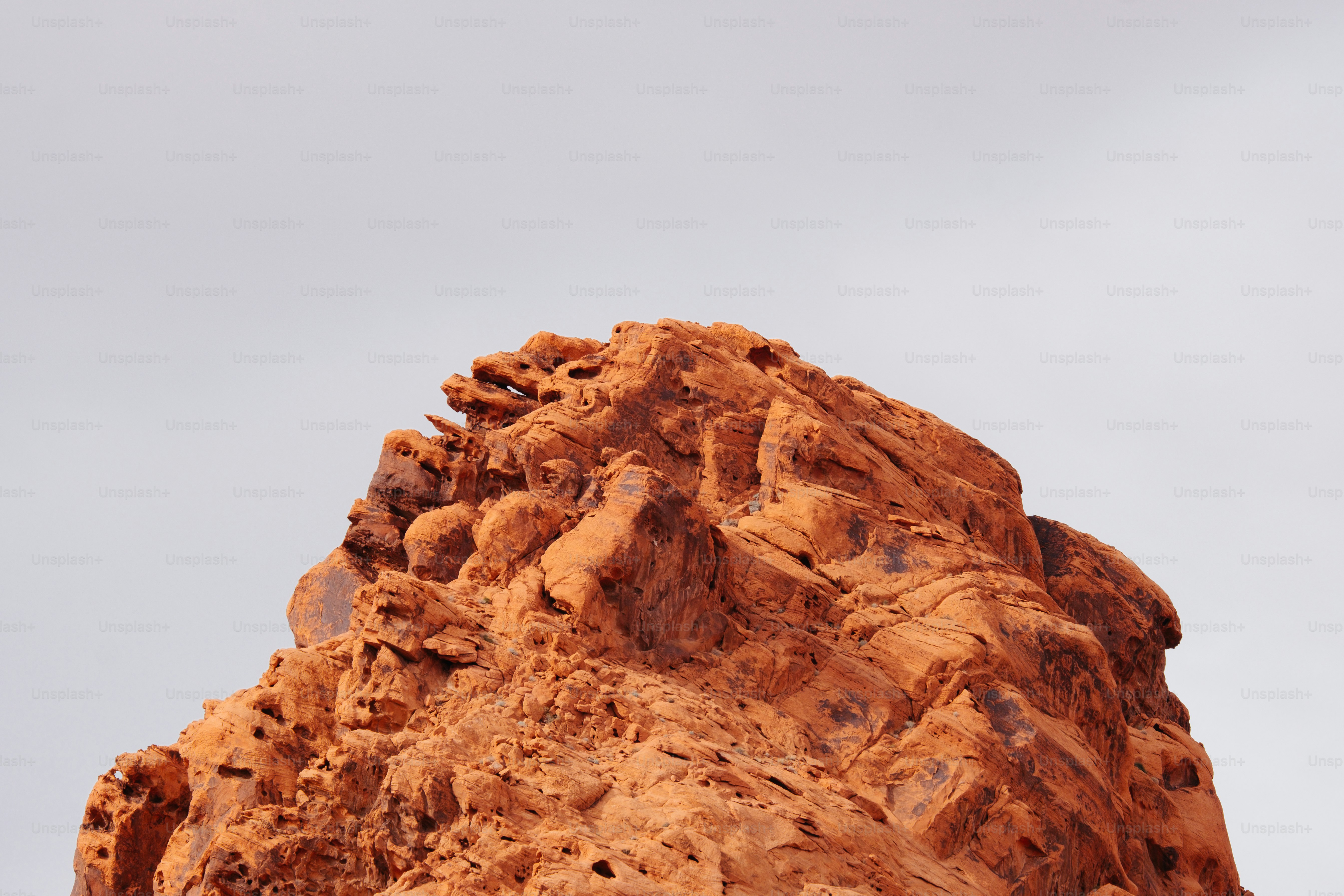 a bird is perched on top of a rock