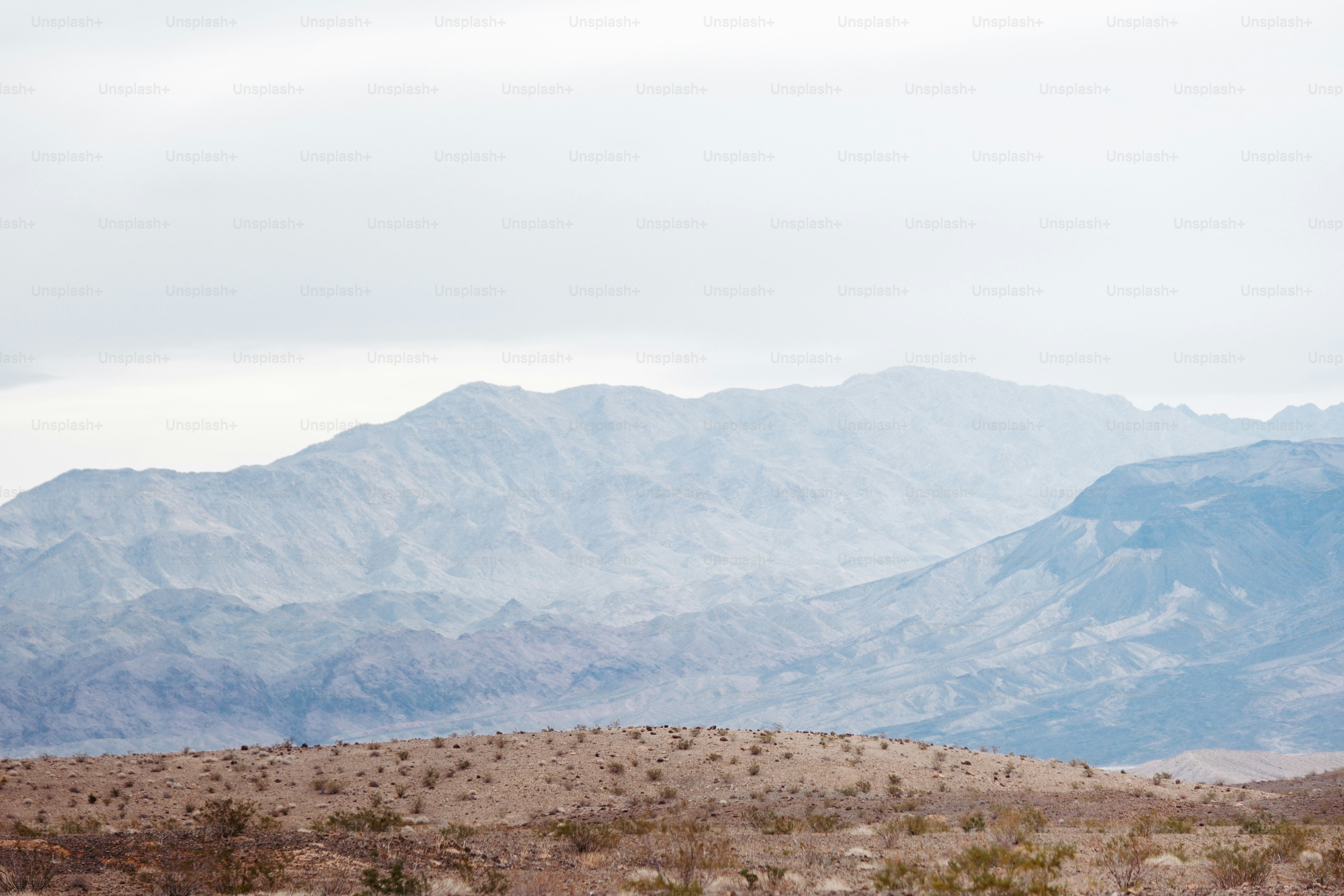 a herd of sheep grazing on a dry grass field