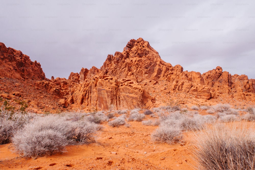uma paisagem do deserto com uma montanha no fundo