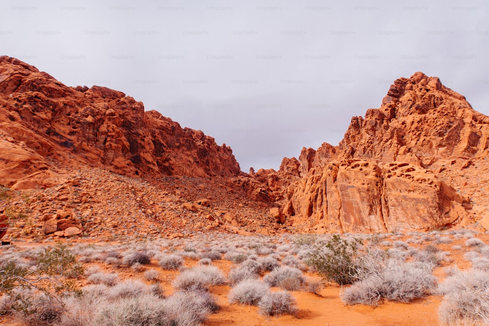 Un paesaggio desertico con una montagna sullo sfondo