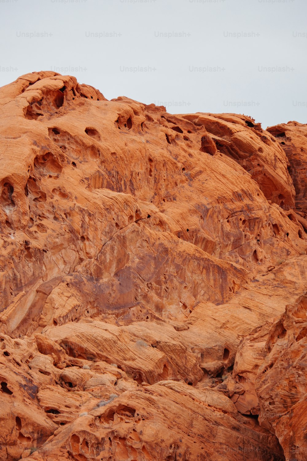 um pássaro está empoleirado em uma rocha no deserto