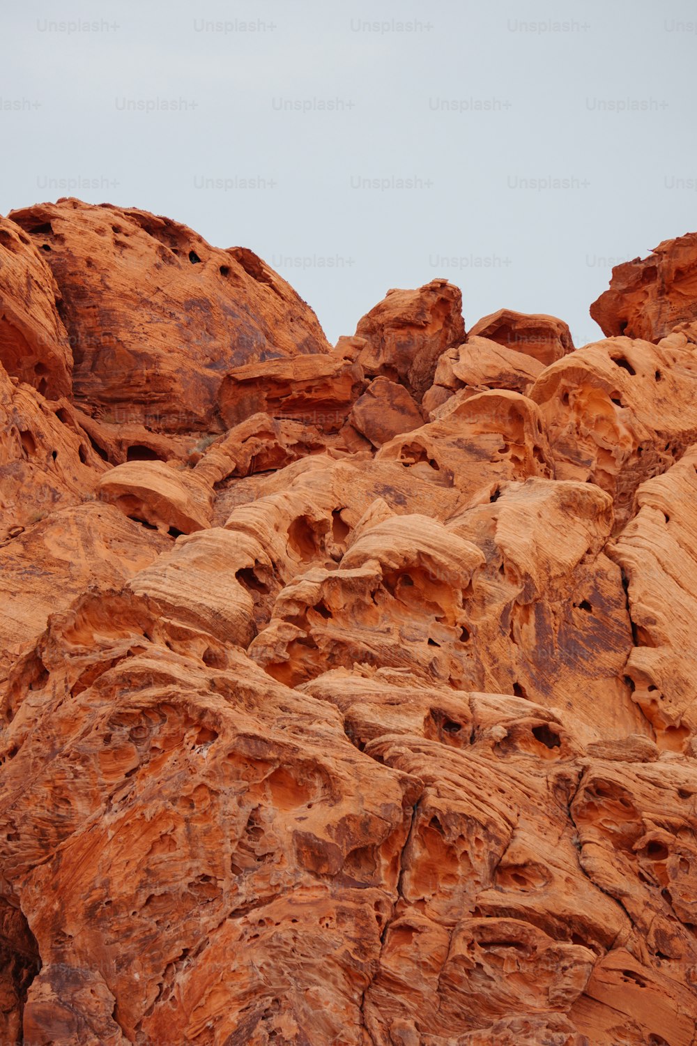 a bird perched on top of a rock formation