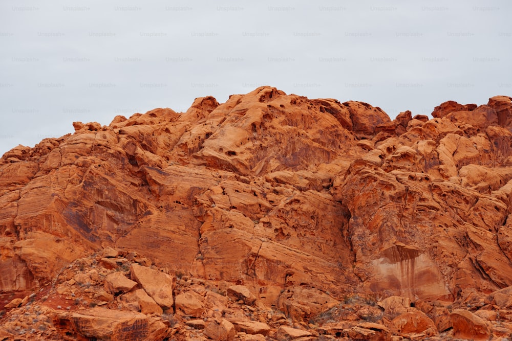 a mountain with a bird perched on top of it