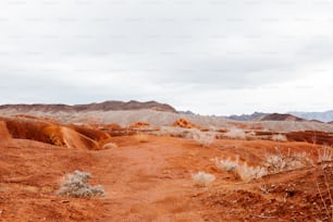 a dirt road in the middle of a desert