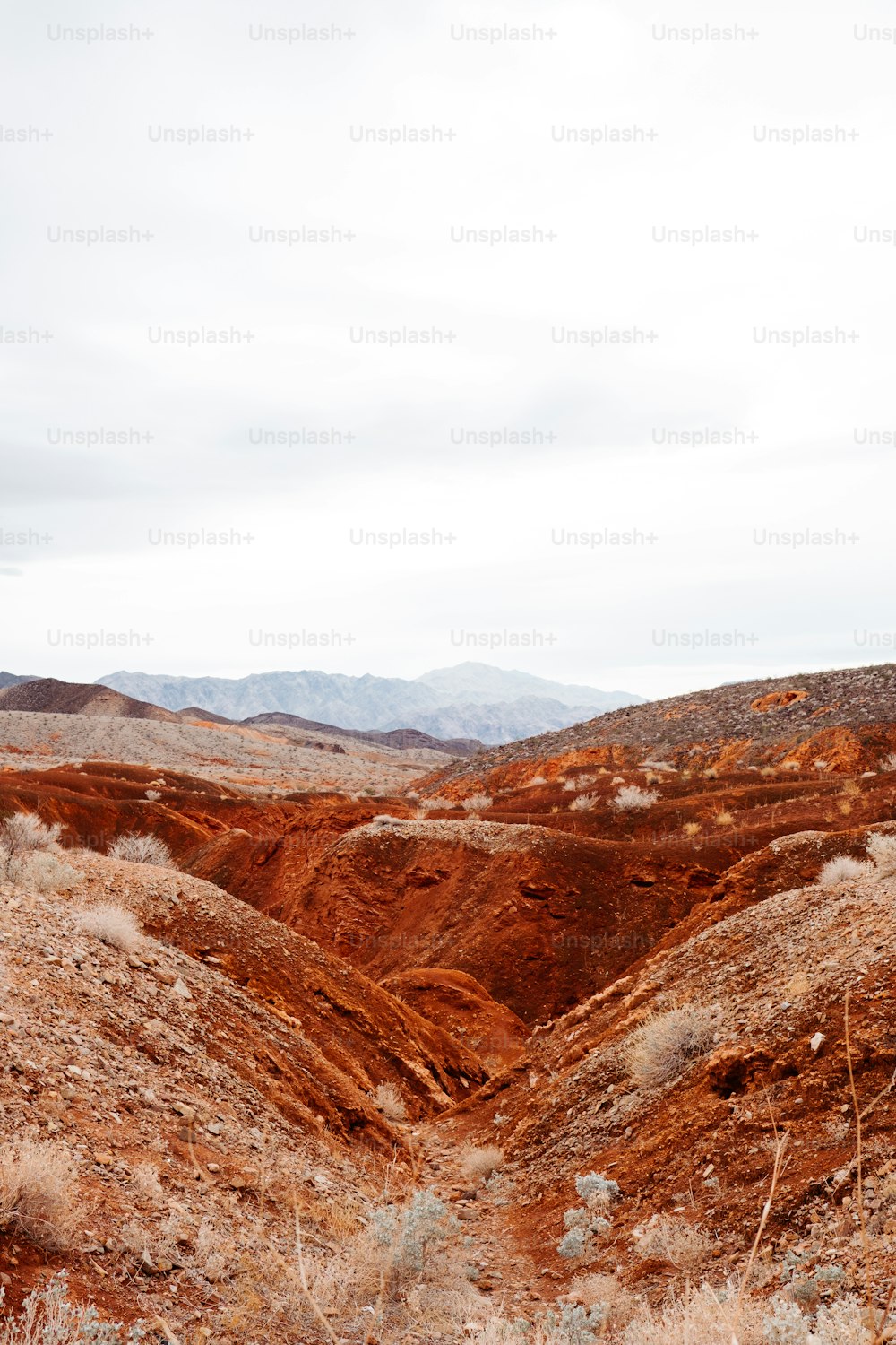 a view of a barren area with mountains in the background