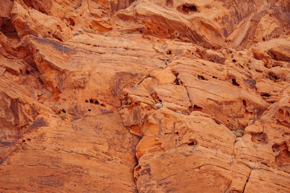 a group of animals that are standing in the dirt