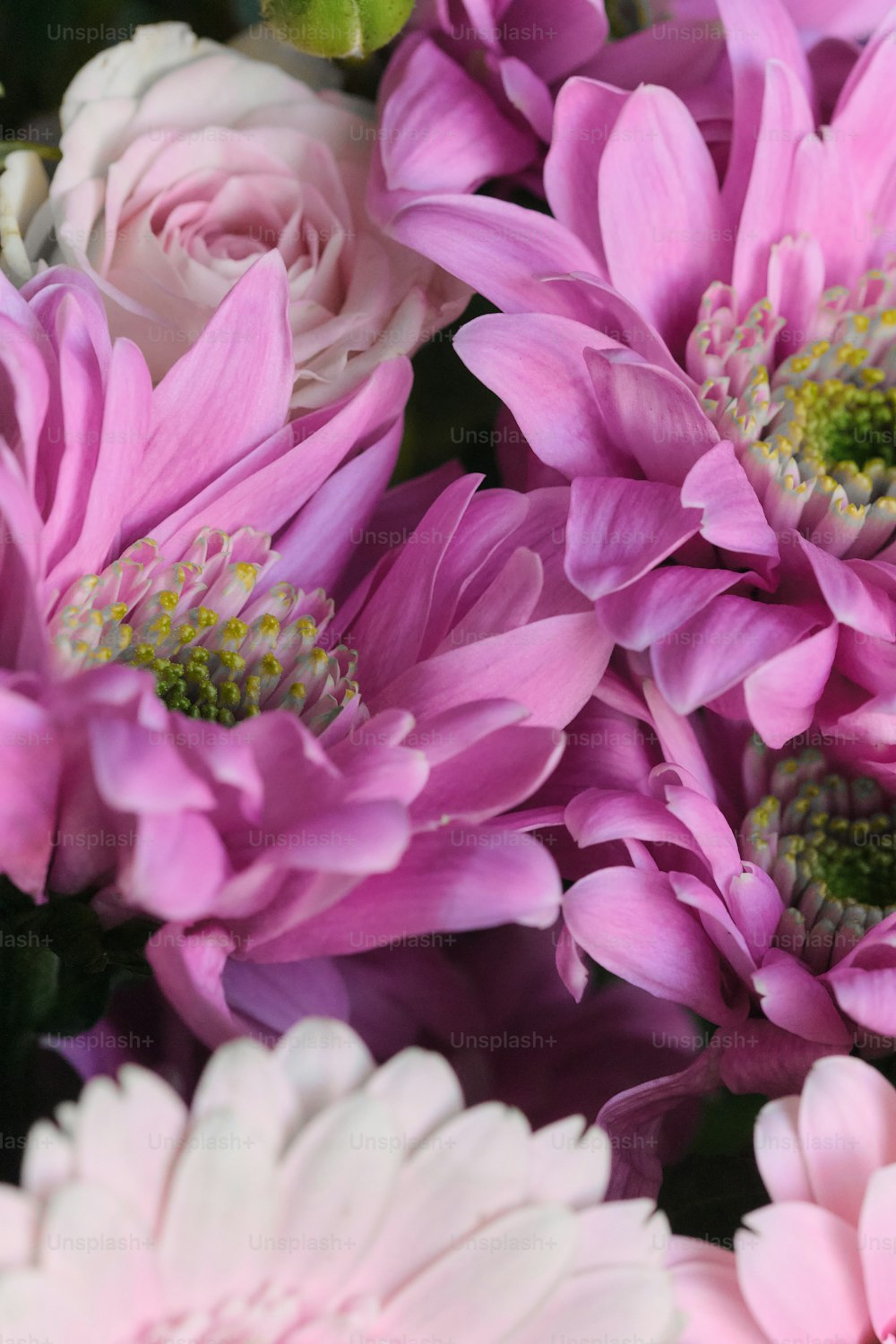a bunch of pink and white flowers in a vase