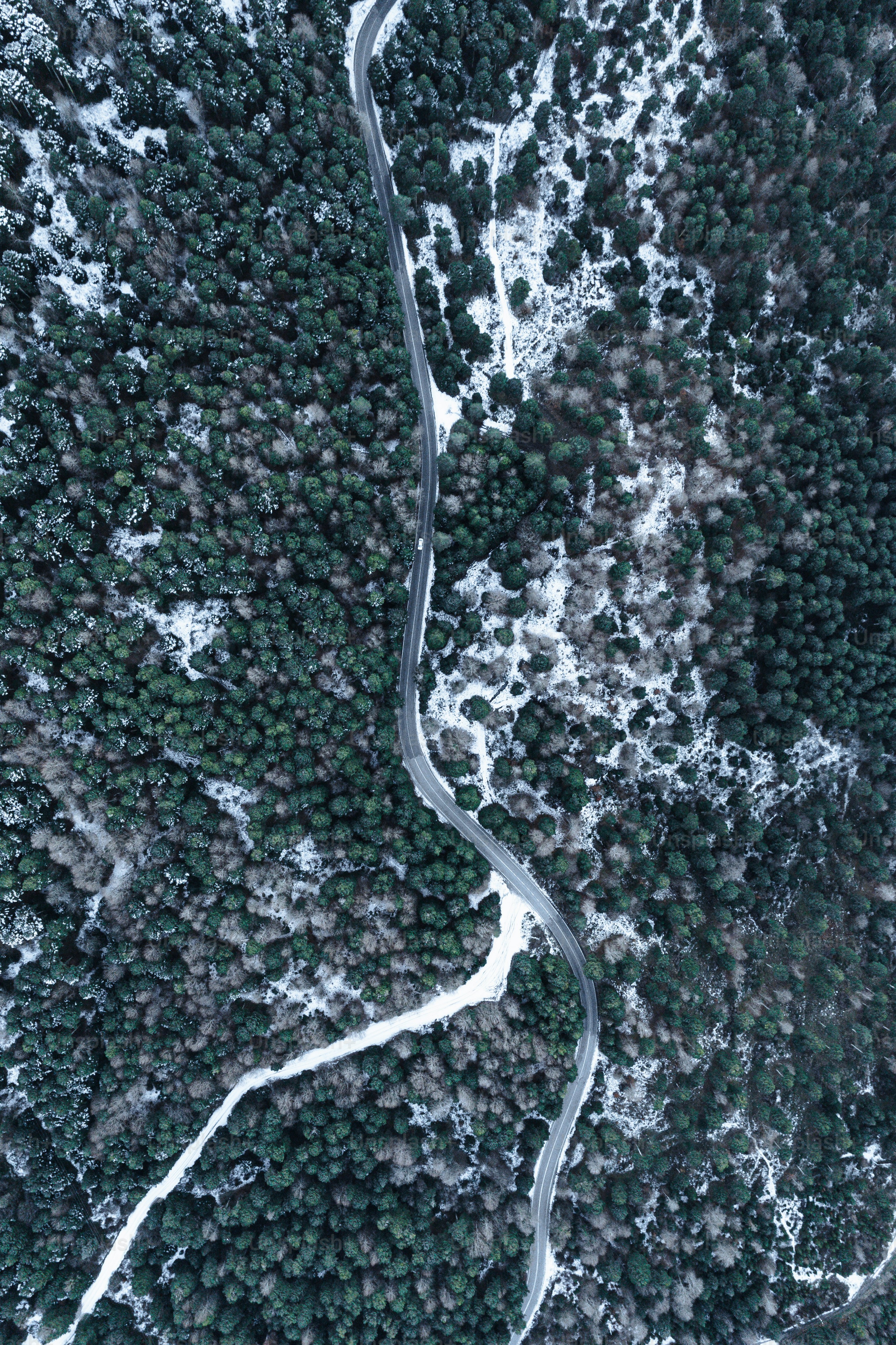 An aerial view of a river running through a forest photo – River Image ...