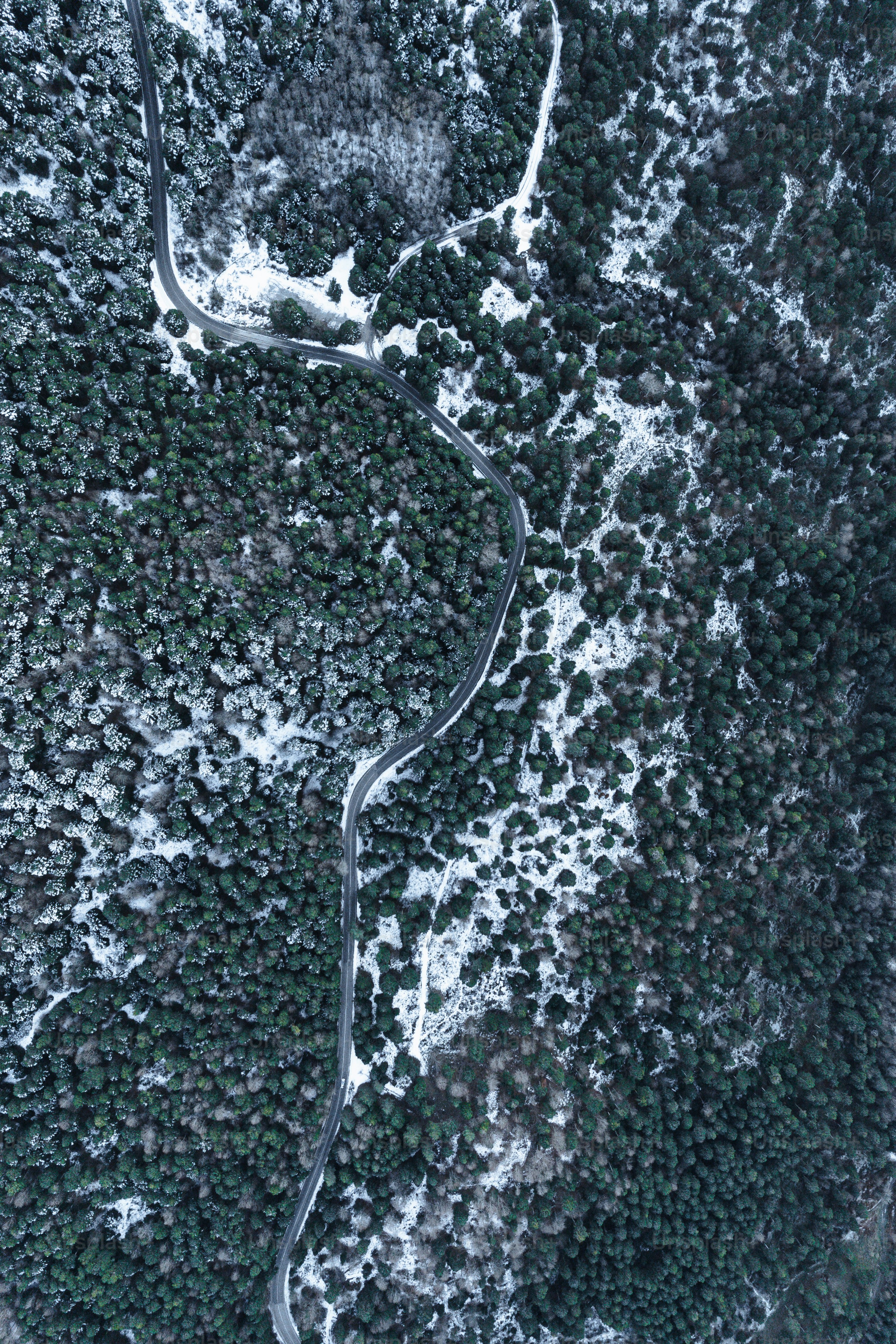 Eine kurvenreiche Straße mitten im Wald