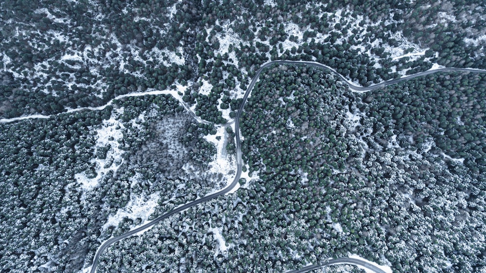 Luftaufnahme einer kurvenreichen Straße im Wald