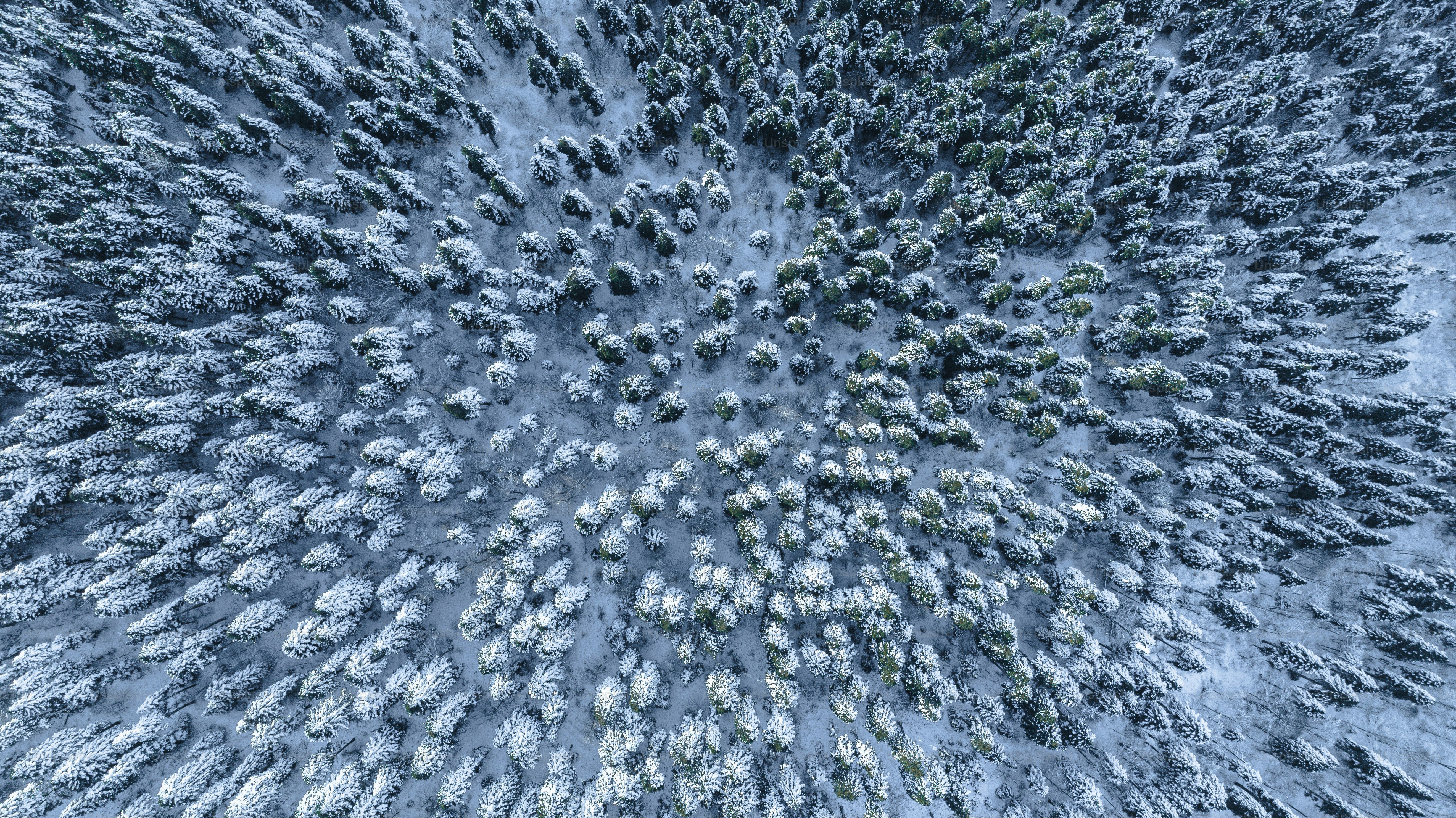 An aerial view of a snow covered forest photo – Winter Image on Unsplash
