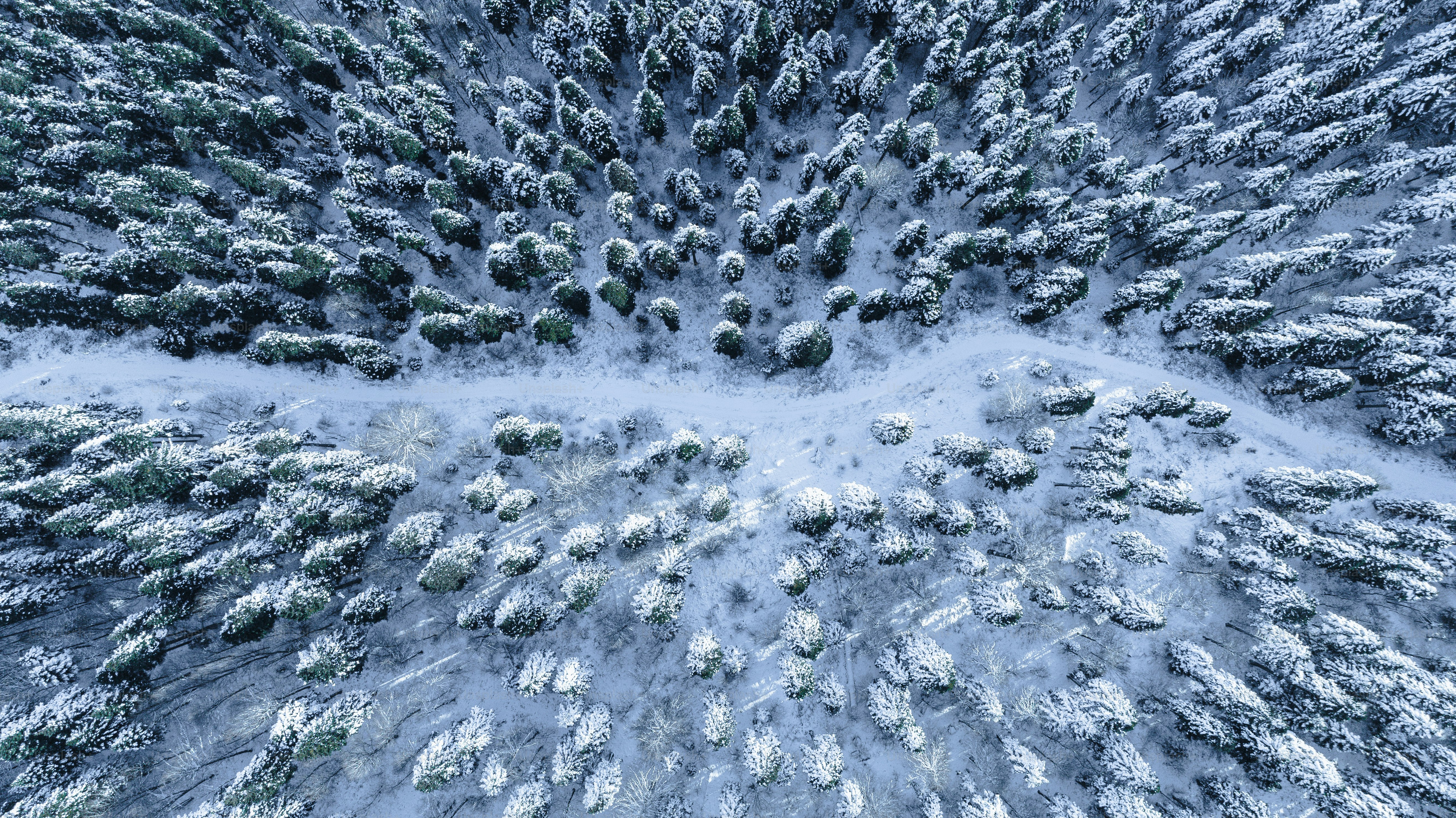 An aerial view of a snow covered forest photo – Winter Image on Unsplash