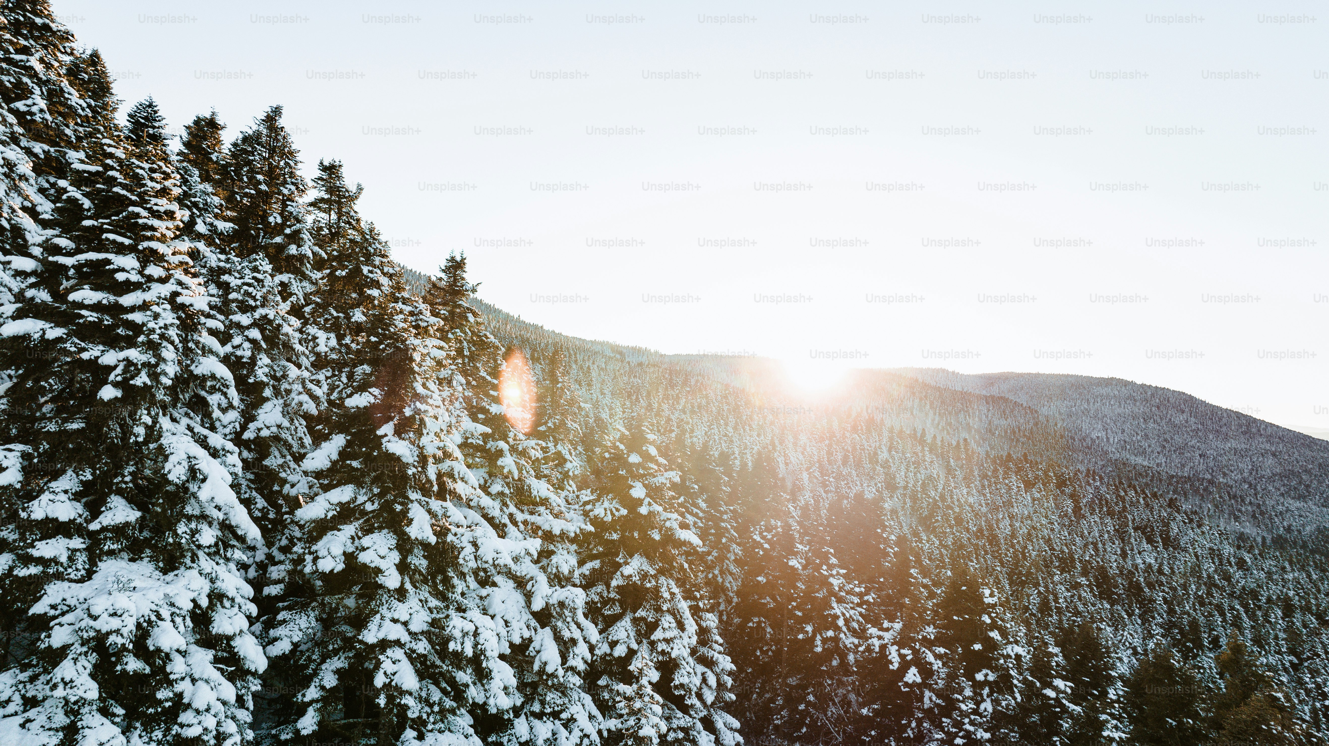 the sun is shining through the trees in the mountains