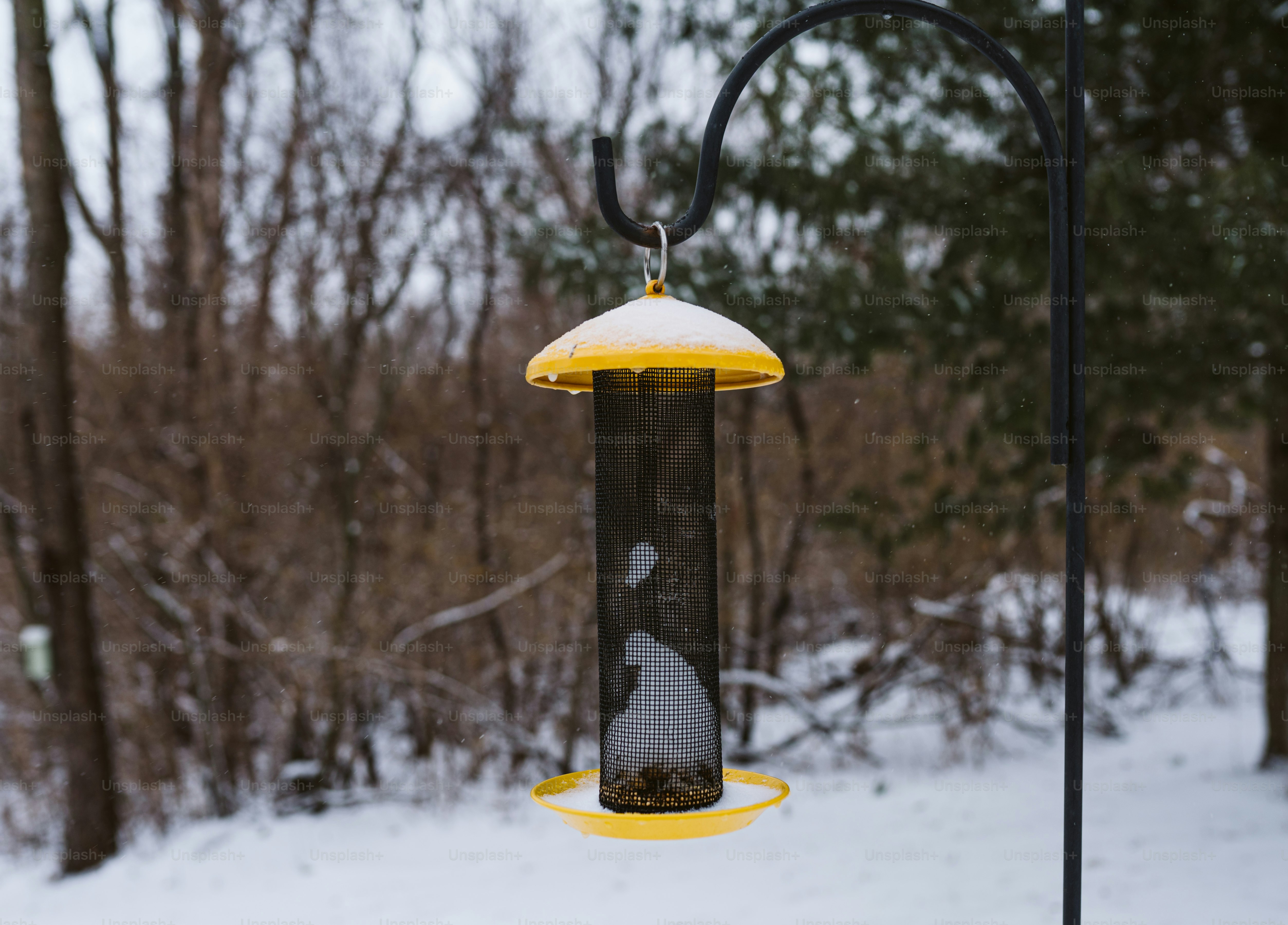 a bird feeder hanging from a pole in the snow
