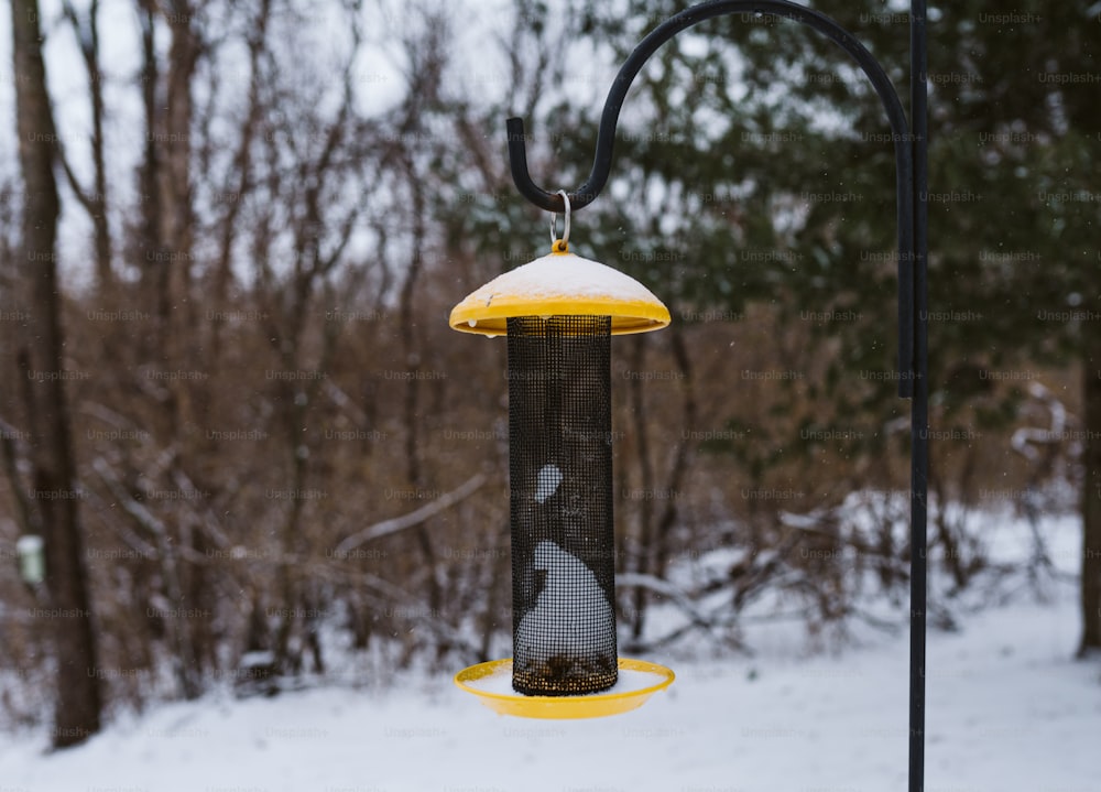 a bird feeder hanging from a pole in the snow