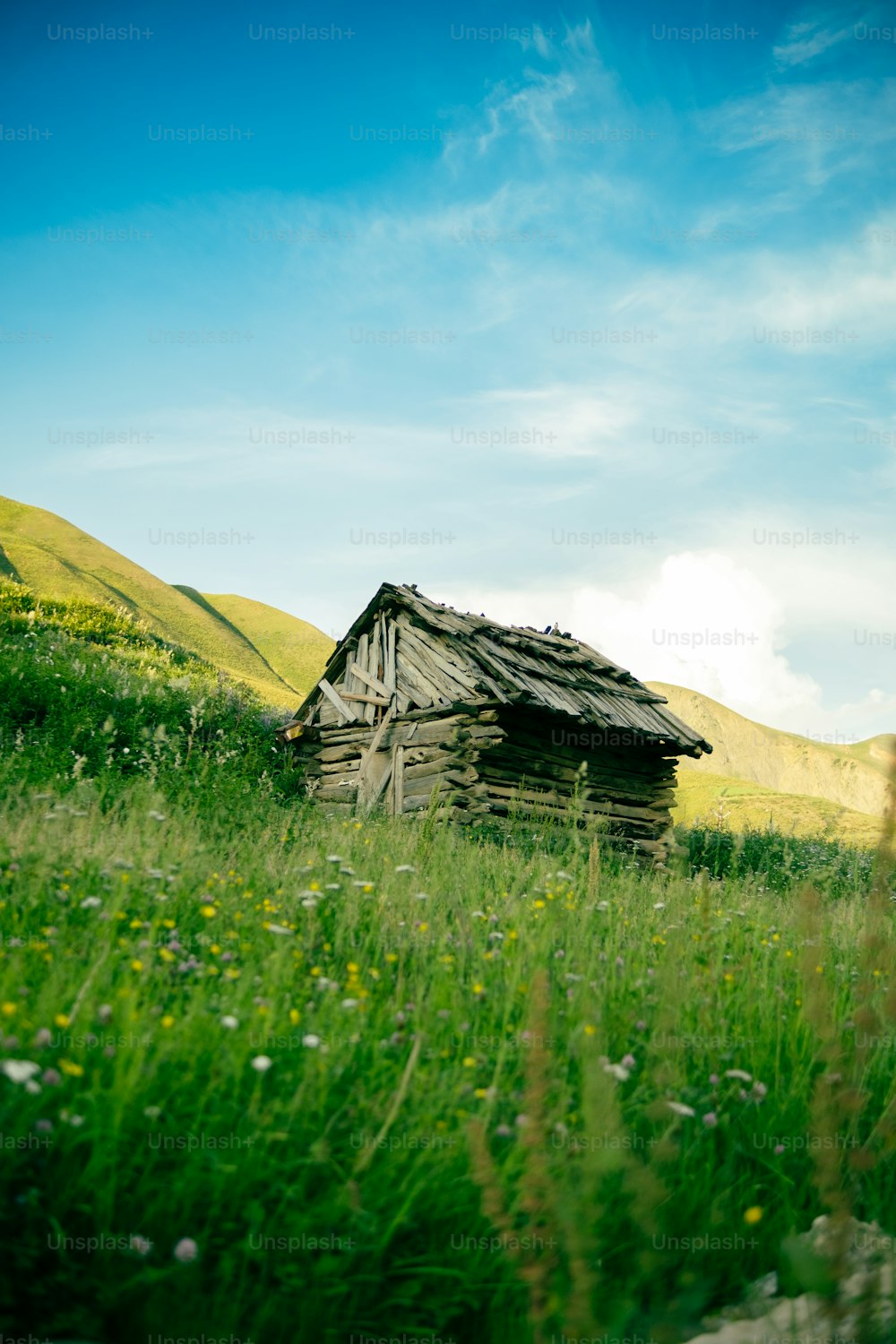 uma pequena cabana de madeira em um campo gramado