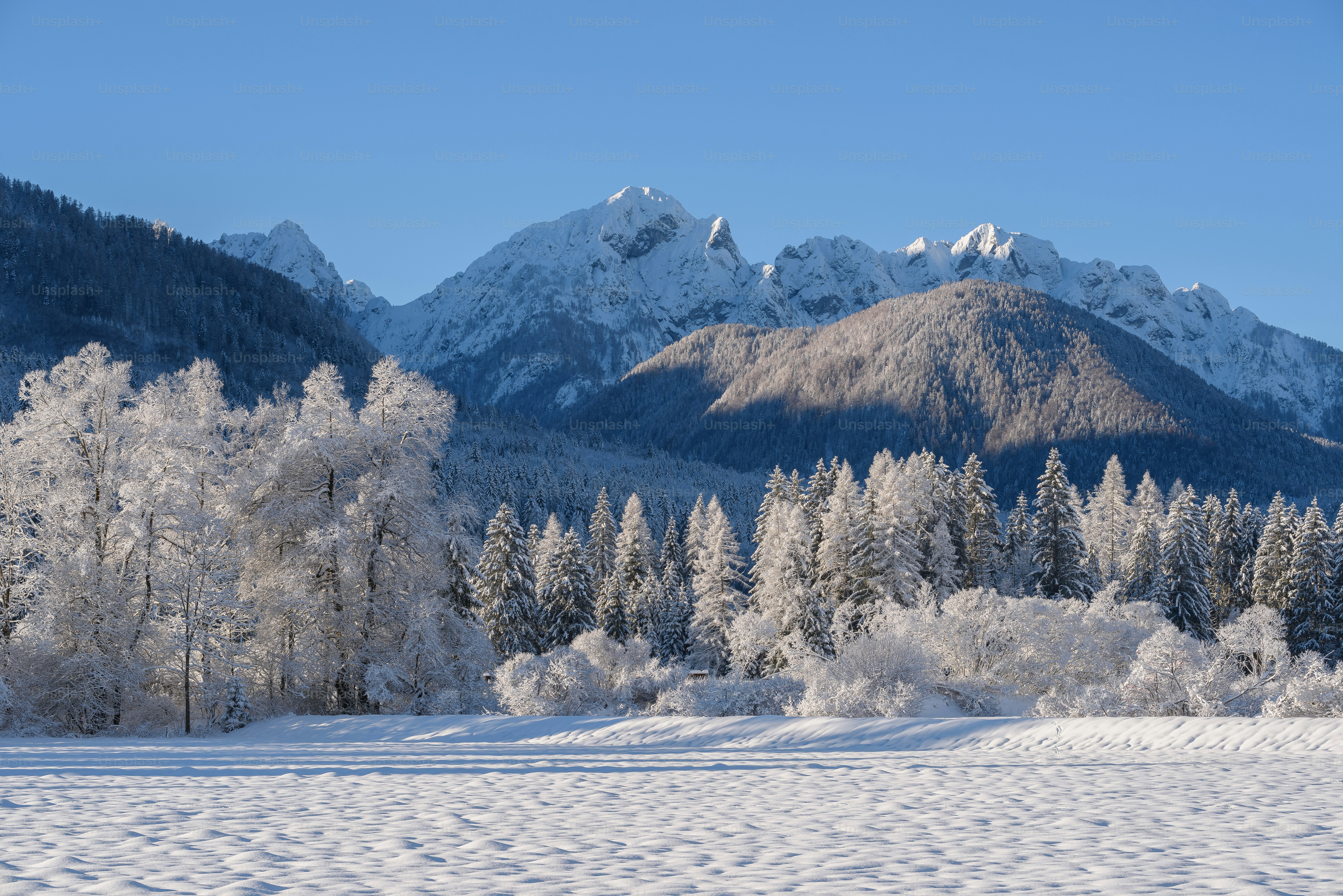 um campo nevado com árvores e montanhas ao fundo