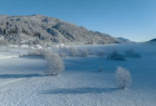 Eine verschneite Landschaft mit Bäumen und Bergen im Hintergrund