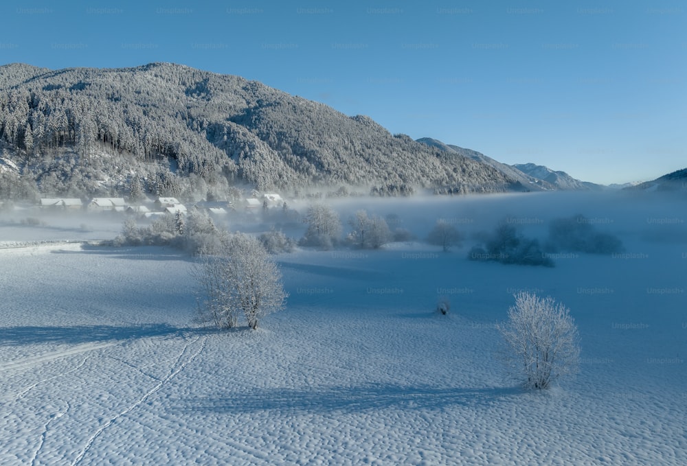 Un paesaggio innevato con alberi e montagne sullo sfondo