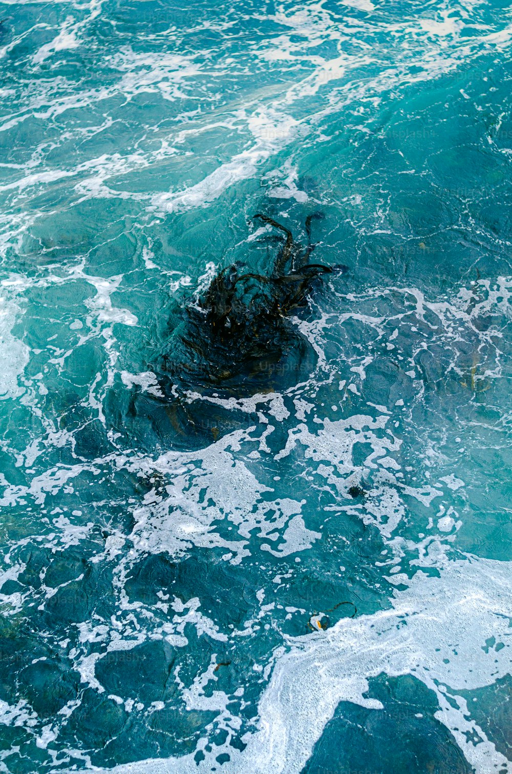 a large body of water with waves coming in and out of it