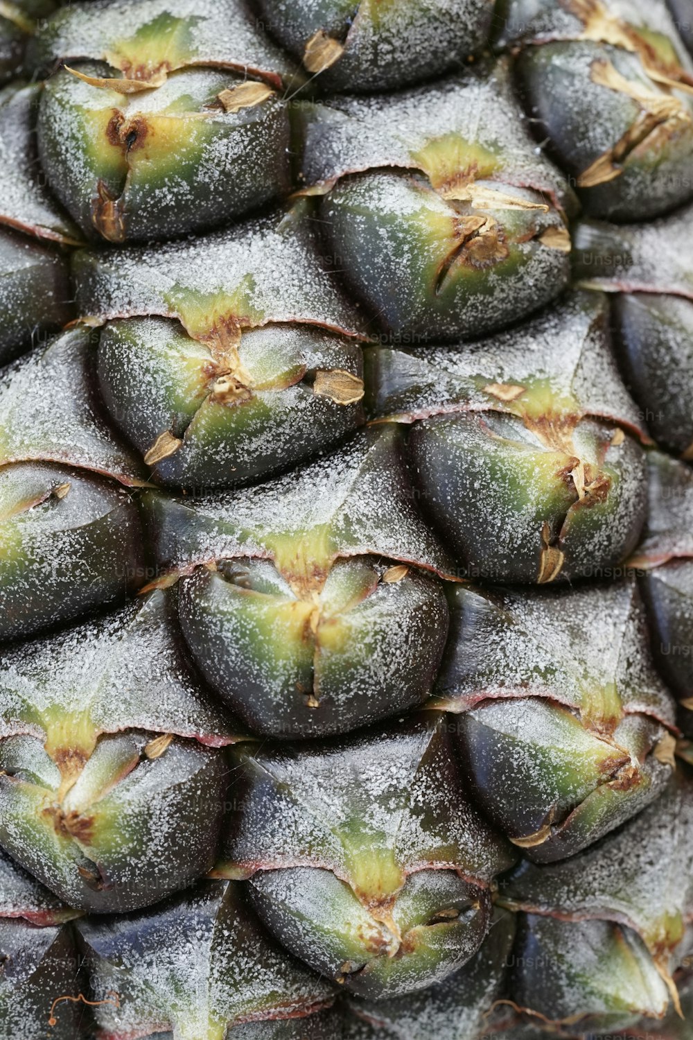 a close up of a pineapple covered in snow