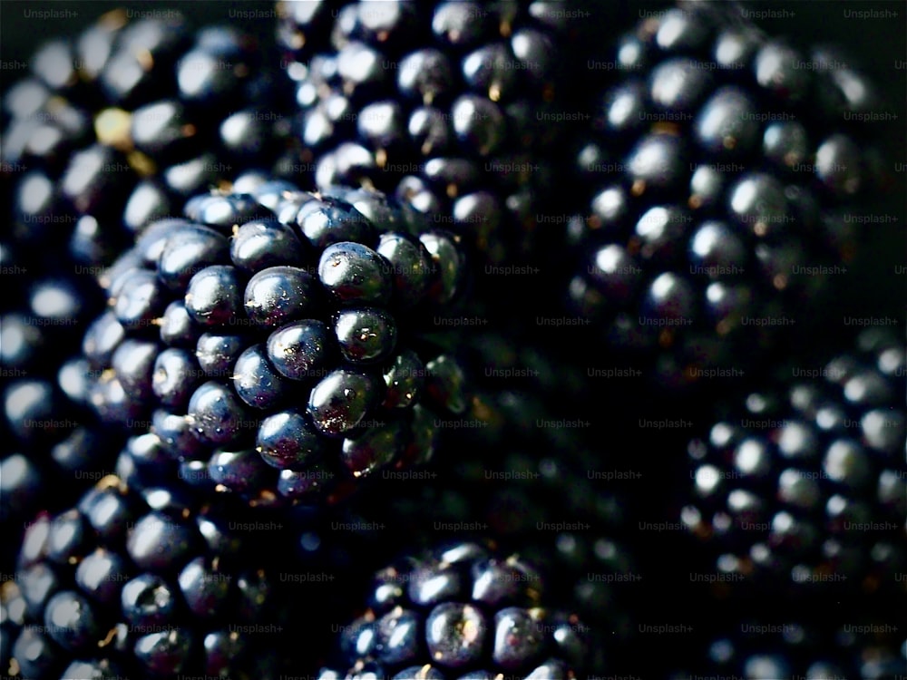 a close up of a bunch of blackberries