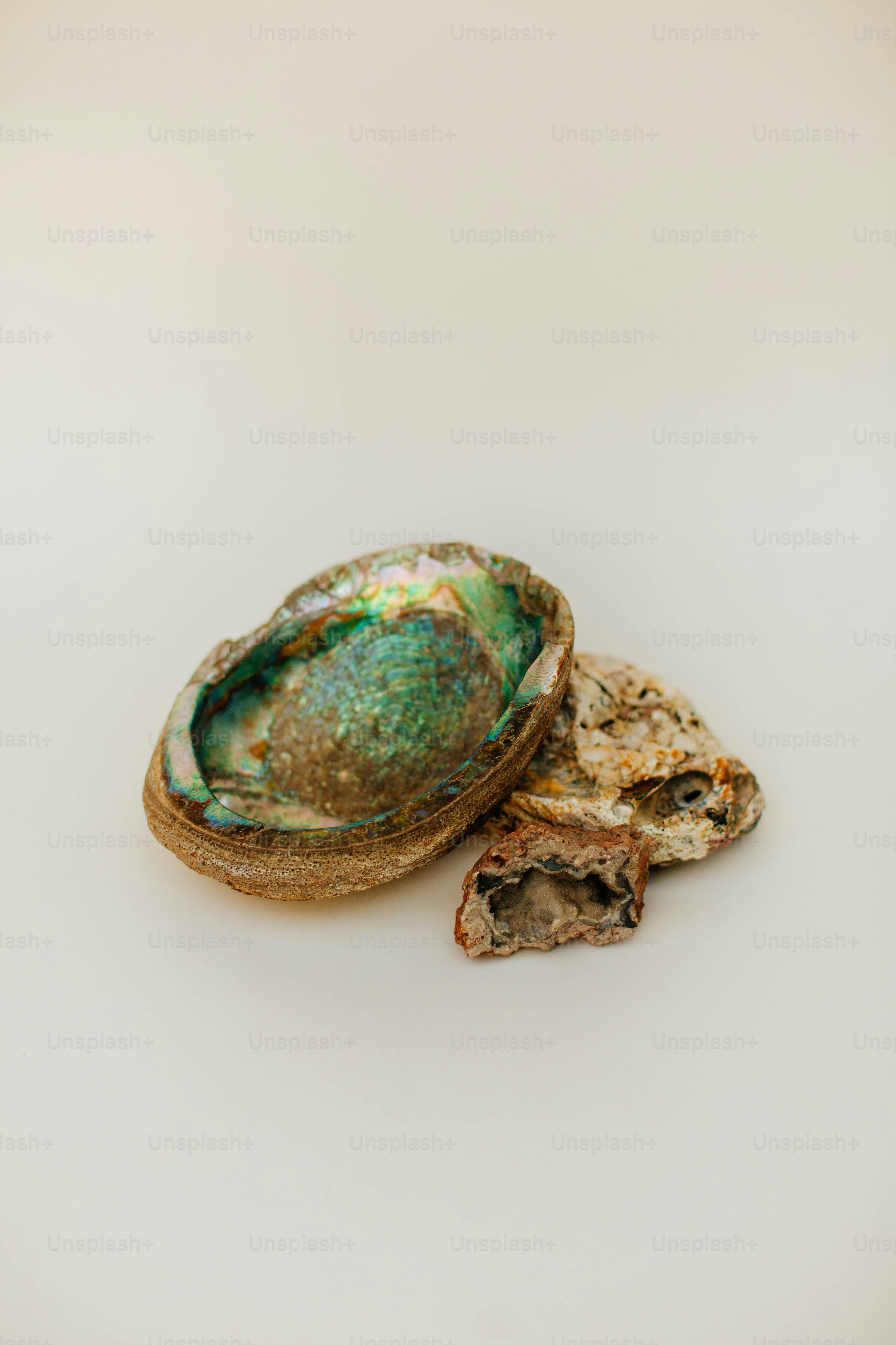 a piece of food sitting on top of a white table