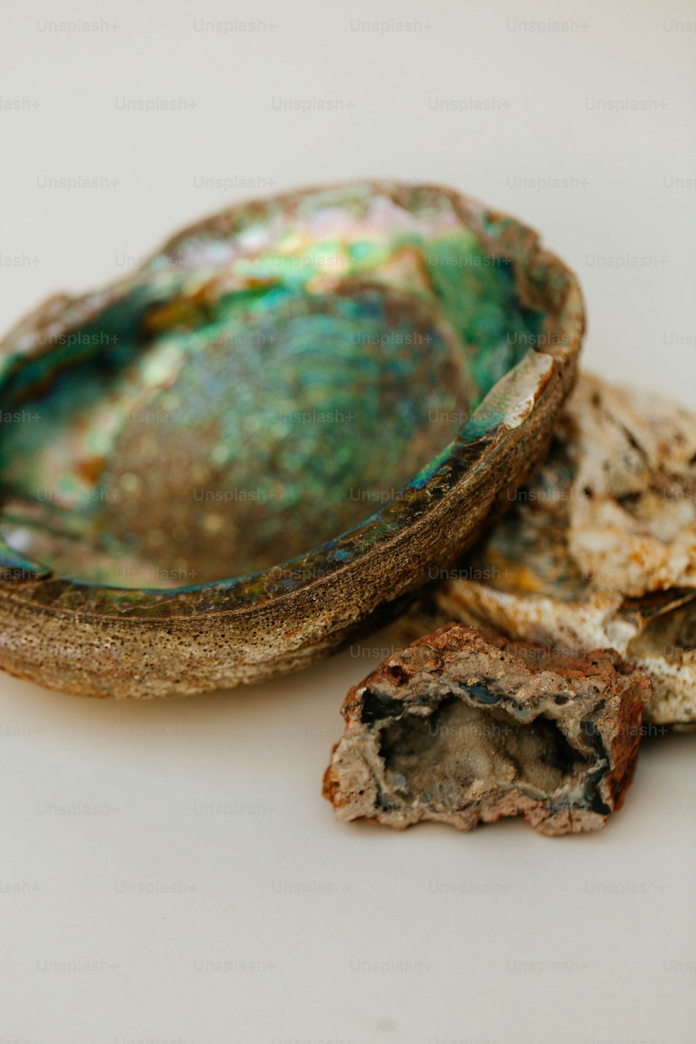 a close up of a bowl on a table