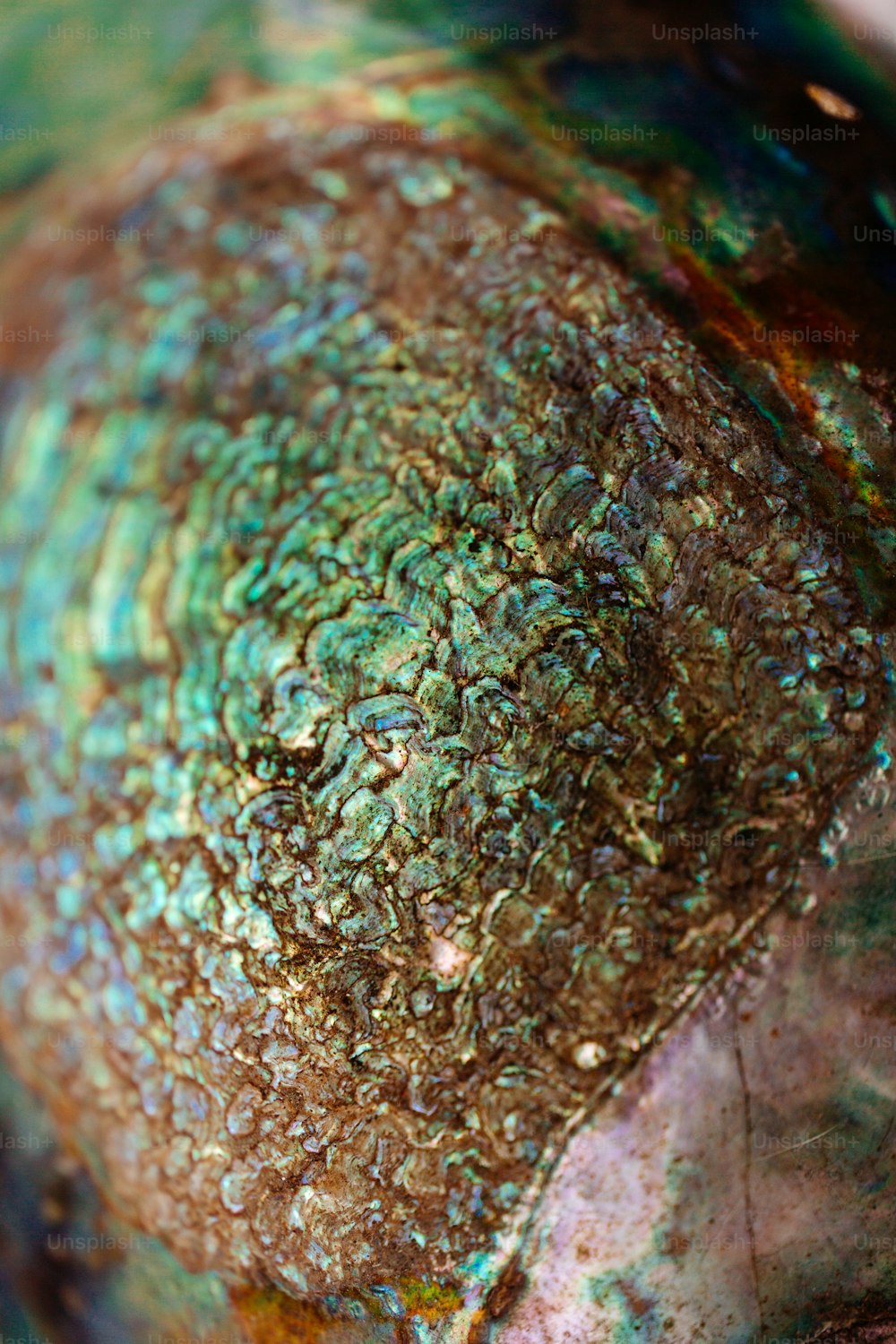 a close up of a green and brown vase