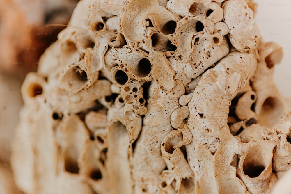um close up de um monte de argila